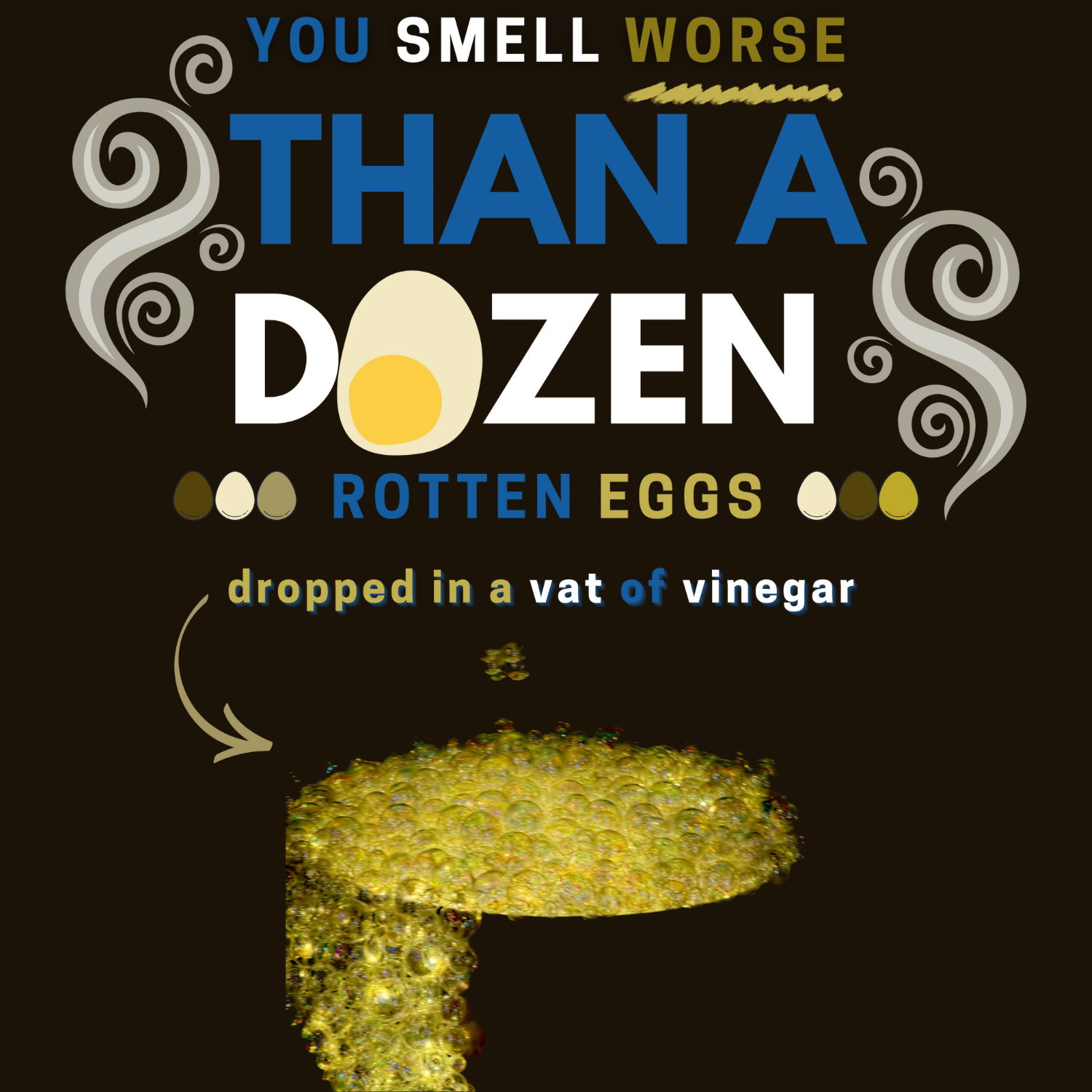 Ada Laird Divinity 2 tee “You Smell Worse Than a Dozen Rotten Eggs” Funny Sarcastic Quote T-Shirt