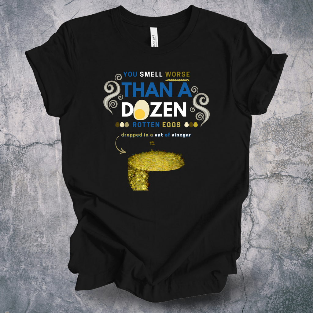 Ada Laird Divinity 2 tee “You Smell Worse Than a Dozen Rotten Eggs” Funny Sarcastic Quote T-Shirt